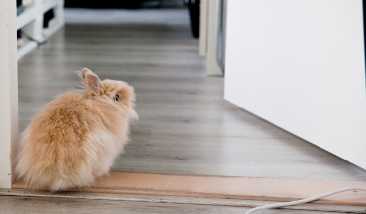 Binnenkijken in een compact huis van 30m2