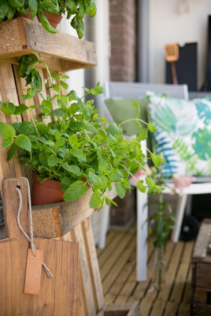 Klein balkon opleuken? Zo doe je dat!