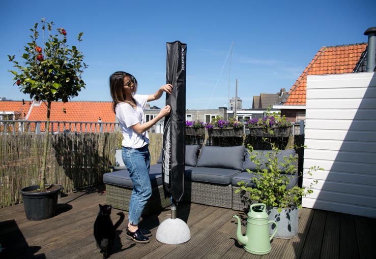 Pronken op mijn dakterras met een droogboom