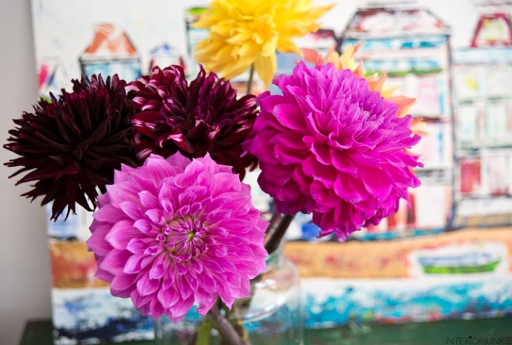 Liefde voor dahlia's in huis