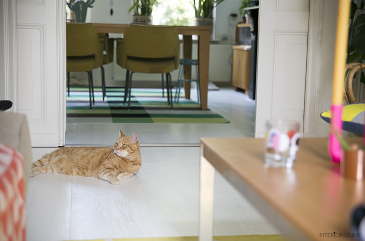 Huizentour in het kleurrijke huis van Evelyn & Otto