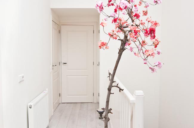 bloesemboom binnen woonkamer