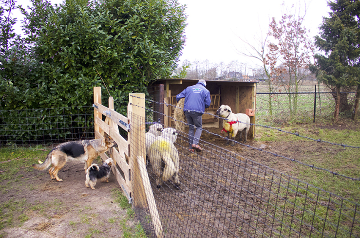 Binnenkijken in een verbouwde boerderij in Ederveen