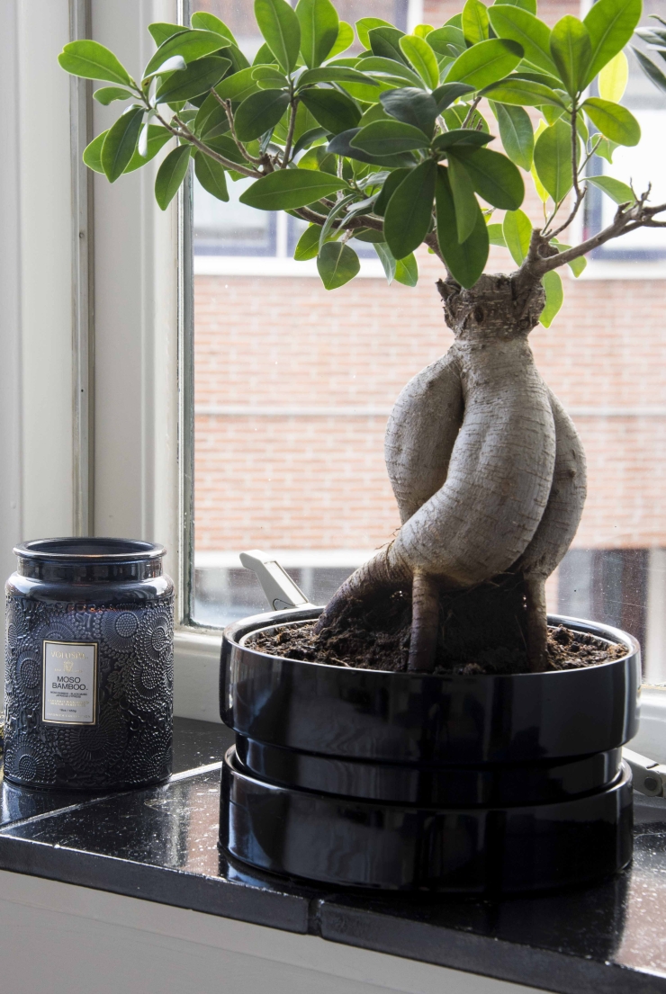 Het bonsai boompje is van Ikea, de kaars heb ik bij de Bijenkorf gekocht.