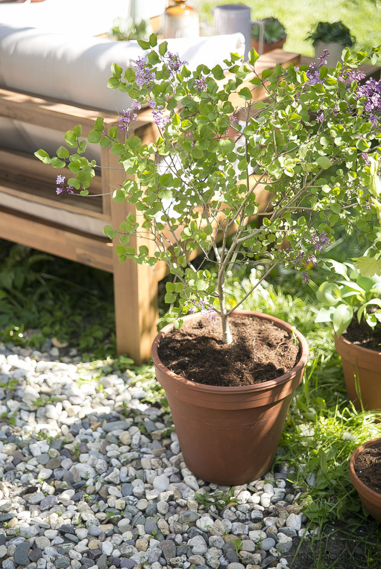 Mijn tuin inspiratie: het hoekje is eindelijk af!