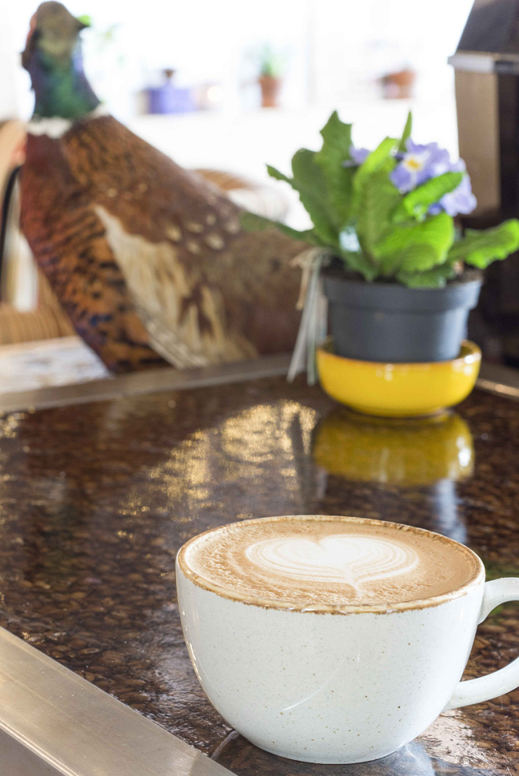 Koffie drinken bij Fazant in Veenendaal