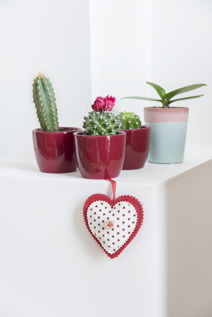 "De cactussen en de rode potjes kreeg ik van een vriendin uit Zwolle."