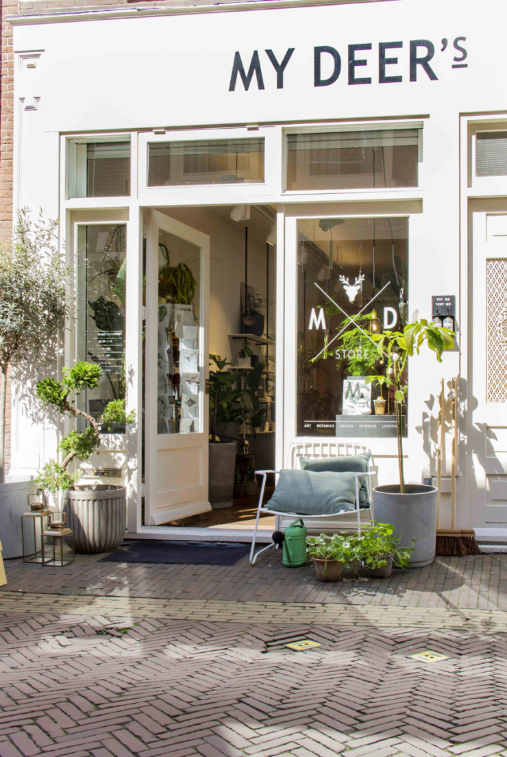 Kunst en lifestyle winkelen in Haarlem @ My Deer's