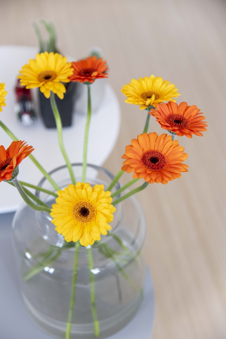 Modern en clean wonen - bloemen in vaas