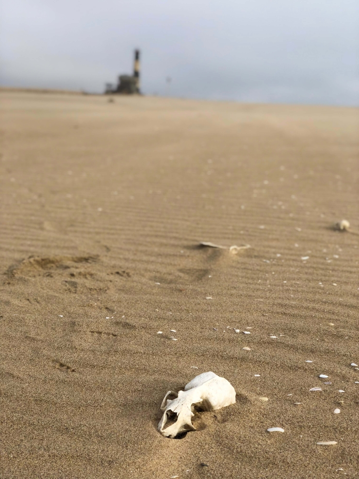 Bijzonder overnachten in Namibie naast een vuurtoren