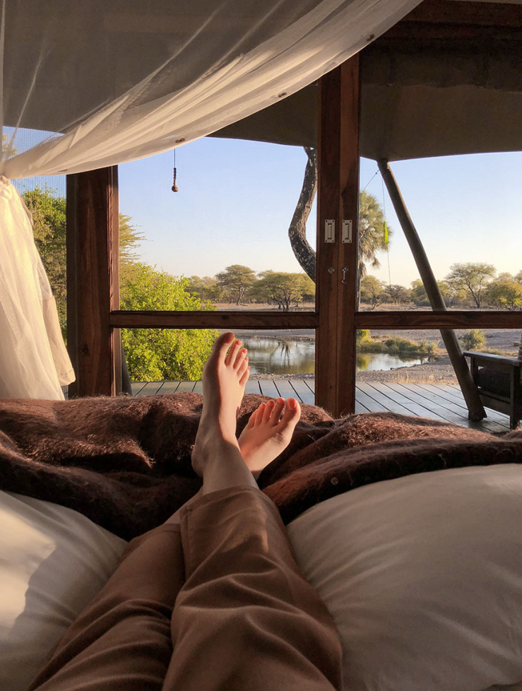 Glampen in Namibie tussen de giraffen