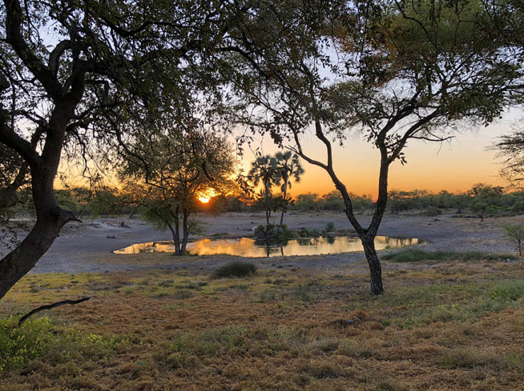 Glampen in Namibie tussen de giraffen