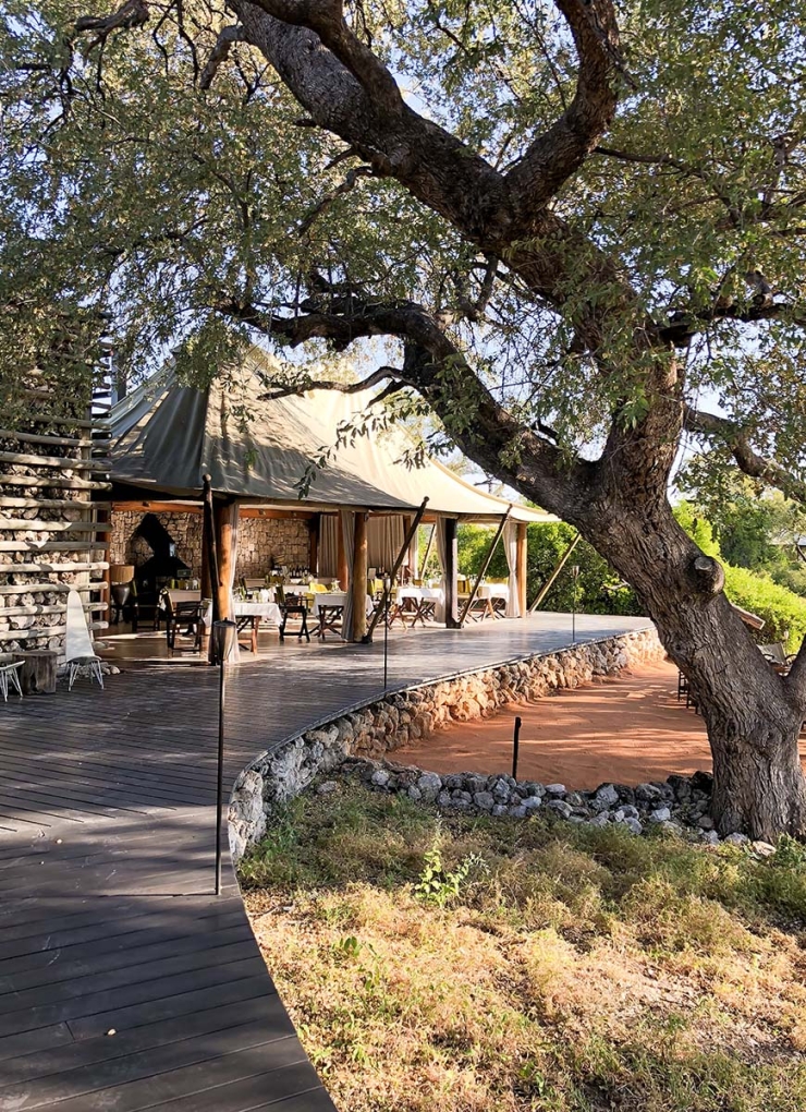 Glampen in Namibie tussen de giraffen