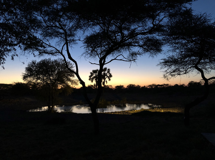 Glampen in Namibie tussen de giraffen