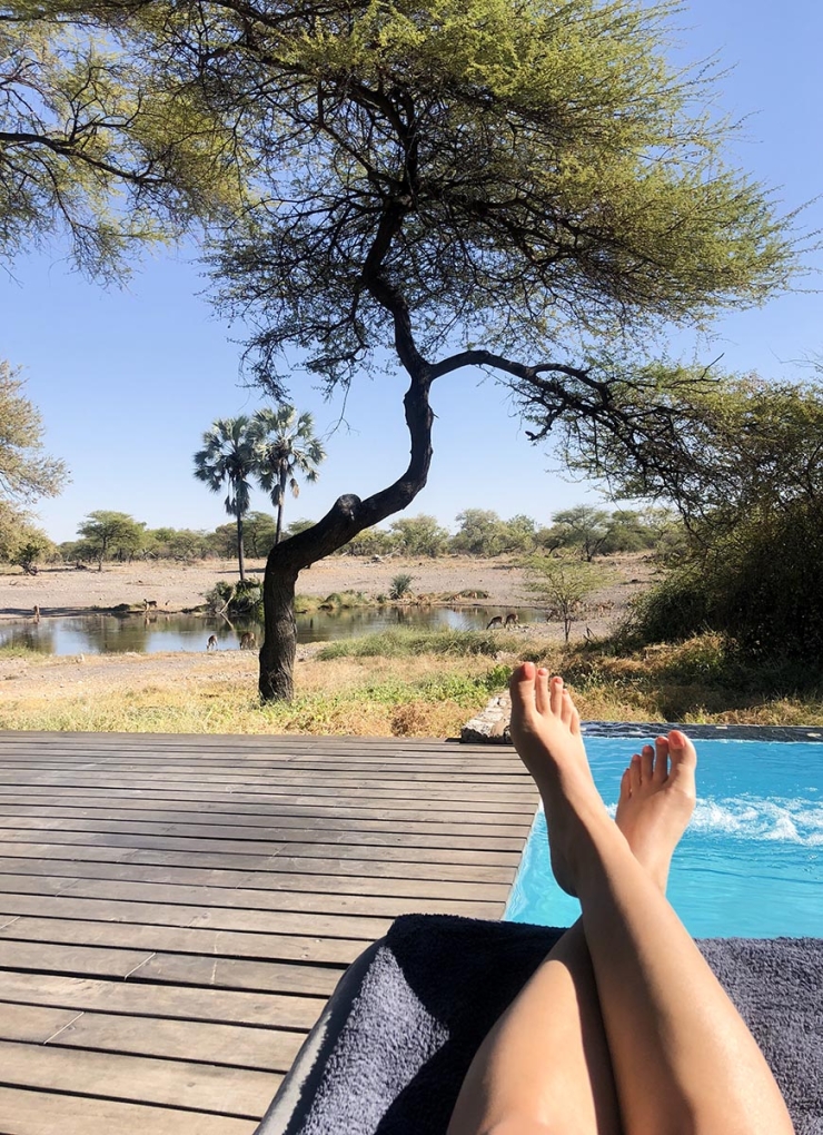 Glampen in Namibie tussen de giraffen