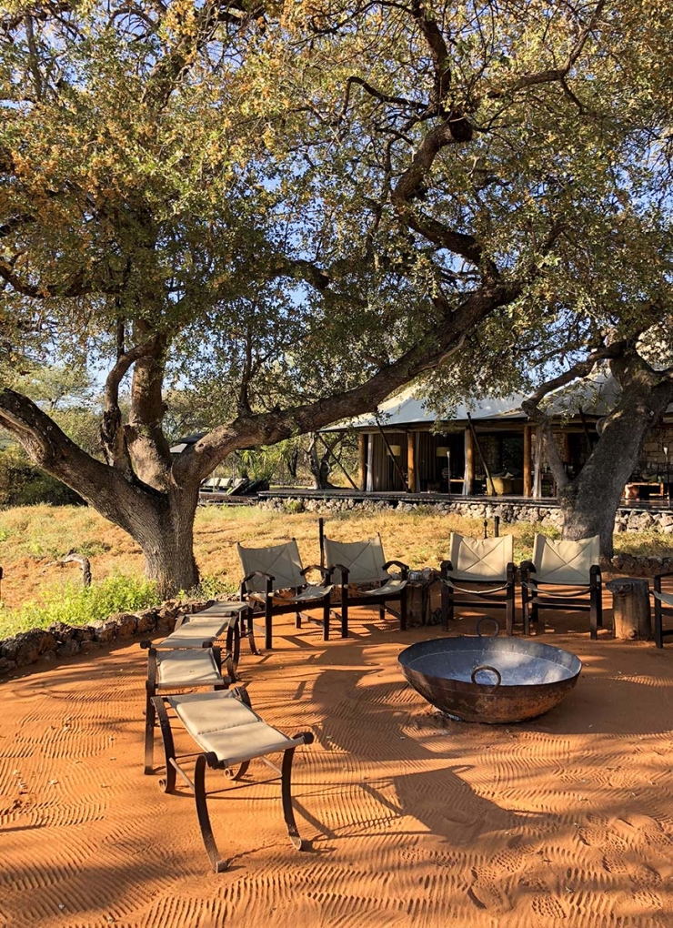 Glampen in Namibie tussen de giraffen