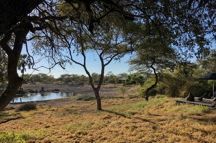 Glampen in Namibie tussen de giraffen