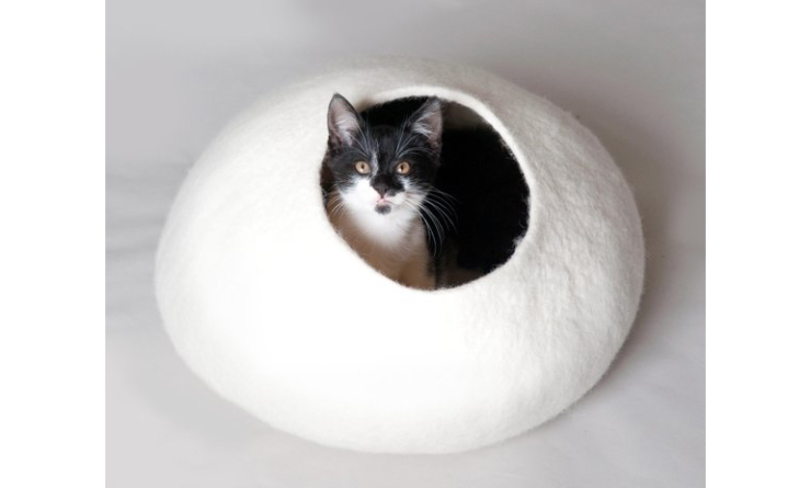 Een katten lounge: iets voor jouw diva?!