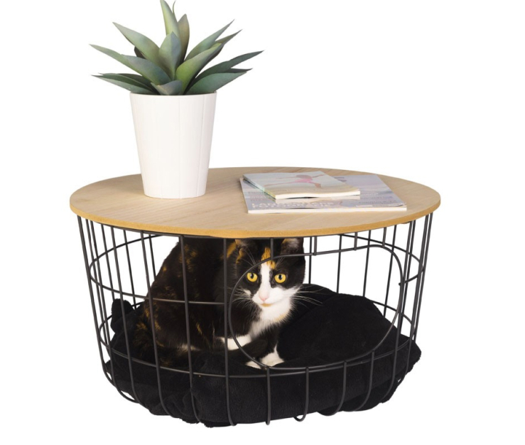 Een katten lounge: iets voor jouw diva?!