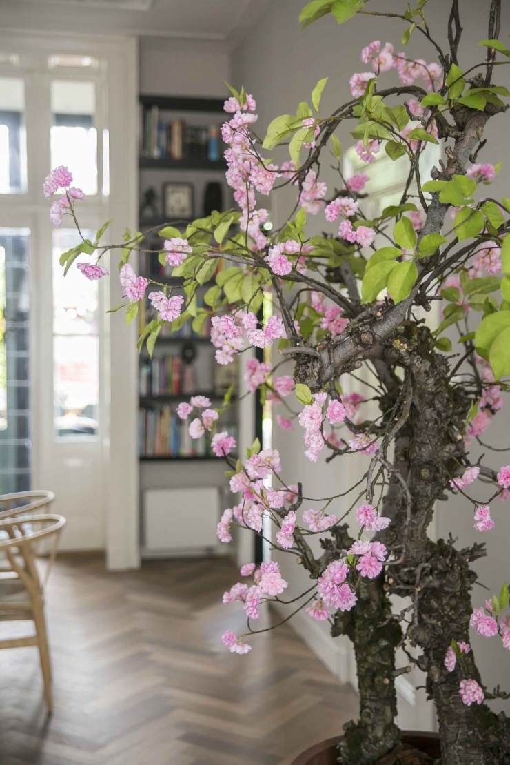 De bloesemboom in huis is terug van weggeweest