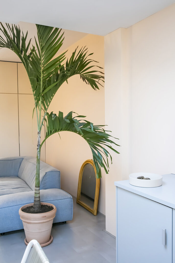 wooninspiratie palmboom in de woonkamer