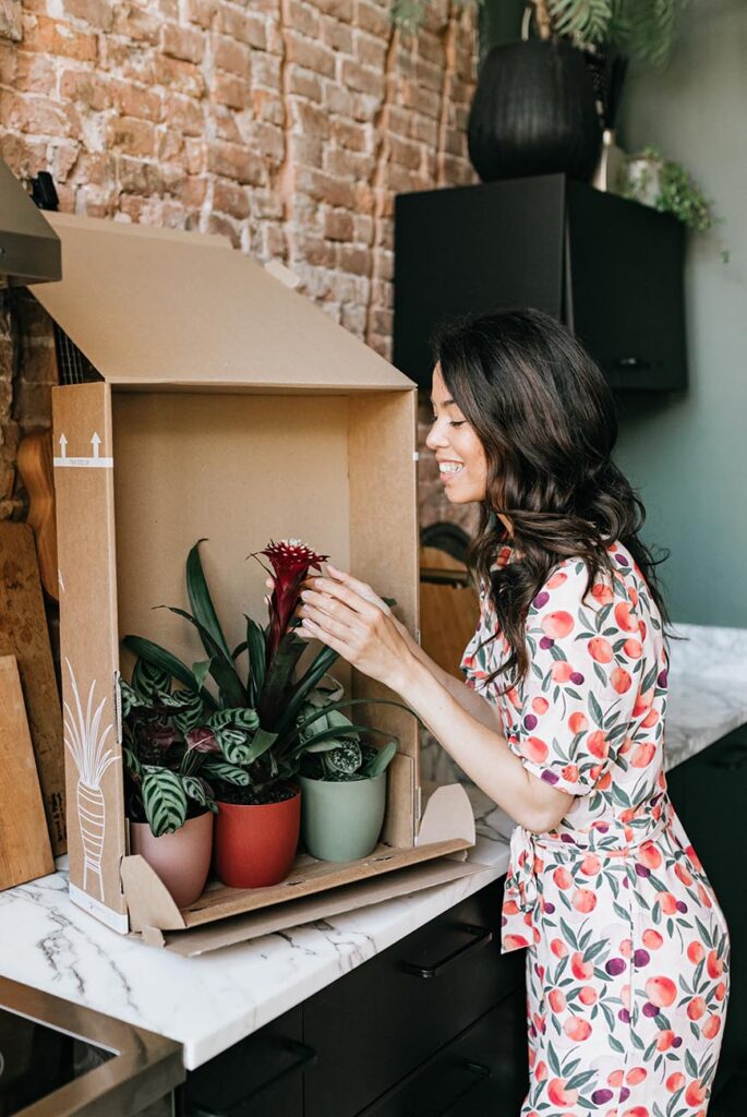 De Interior Junkie x Plantje.nl plantenbox is nu te koop! 