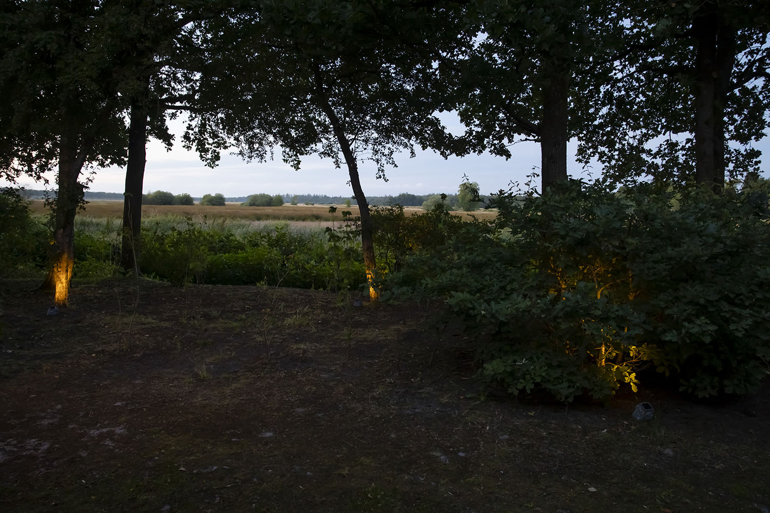 lichtplan-maken-voor-de-tuin