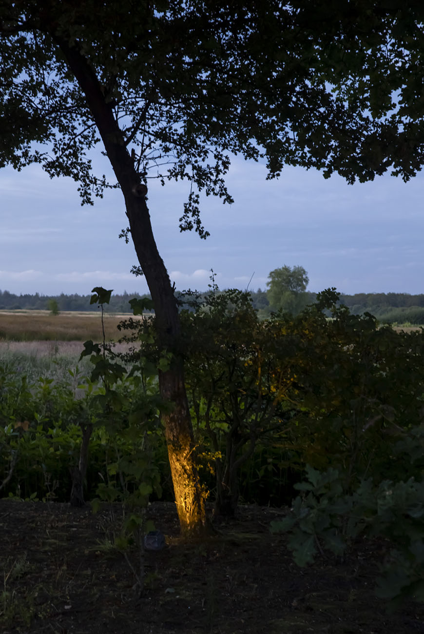 lichtplan-maken-voor-de-tuin-10