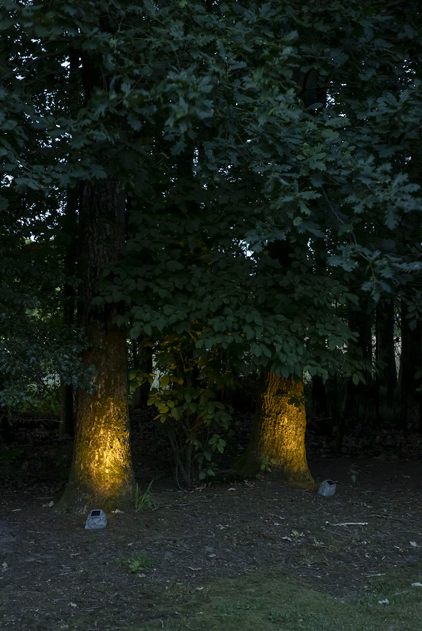 lichtplan-maken-voor-de-tuin-10